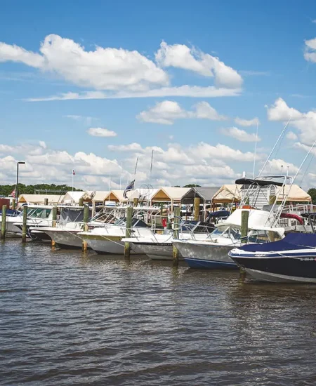 safe-harbor-mr-slider-1@2x